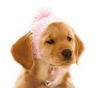 雪地巴迪剧照的剧照