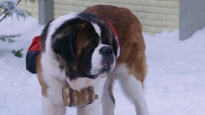 雪地巴迪剧照的剧照