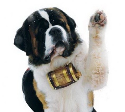 雪地巴迪剧照的剧照