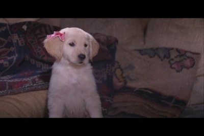 雪地巴迪剧照的剧照