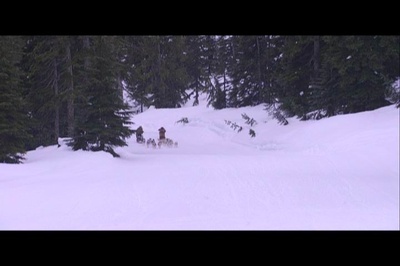雪地巴迪剧照的剧照