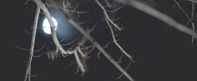 敞开的房子剧照的剧照