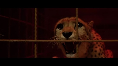 悬案密码2：野鸡杀手剧照的剧照