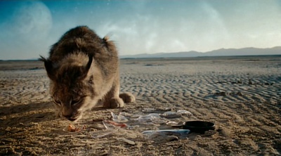 绅士布朗科剧照的剧照