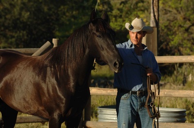 天使不流泪剧照的剧照