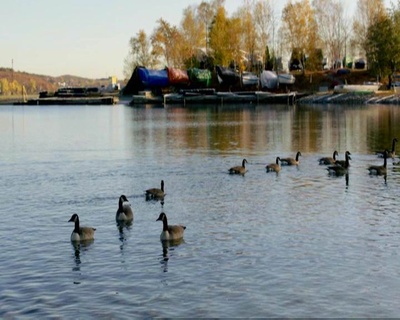 黑暗真相剧照的剧照