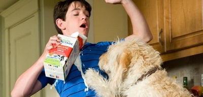 小屁孩日记3剧照的剧照