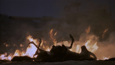 入侵阿富汗剧照的剧照