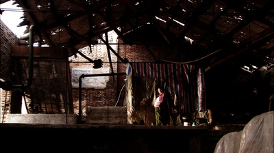 石榴树上结樱桃剧照的剧照