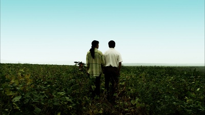 石榴树上结樱桃剧照的剧照