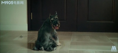 百变爱人剧照的剧照