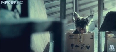 百变爱人剧照的剧照