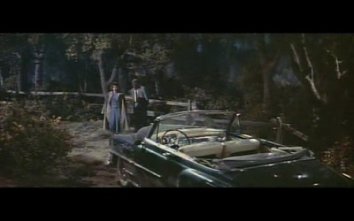 疯狂世界剧照的剧照