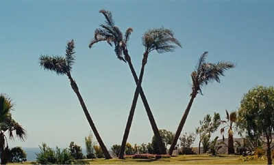 疯狂世界剧照的剧照