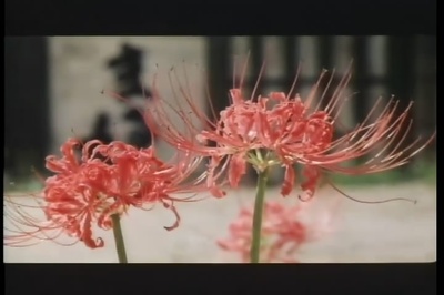 浪人街剧照的剧照