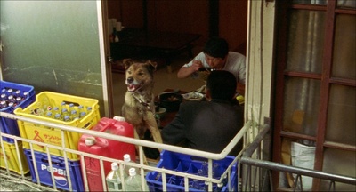 生存还是毁灭之犯罪者剧照的剧照