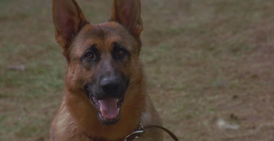 鬼哭神嚎剧照的剧照