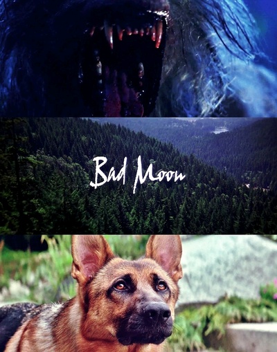 鬼哭神嚎剧照的剧照