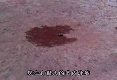 蚁哥正传剧照的剧照