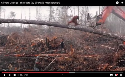 气候变化：事实真相剧照的剧照