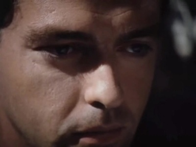 鹤遗失的语言剧照的剧照