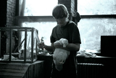 一片好心剧照的剧照