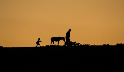 哈日夫剧照的剧照