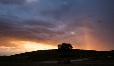 哈日夫剧照的剧照