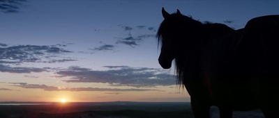 哈日夫剧照的剧照