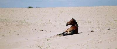 哈日夫剧照的剧照