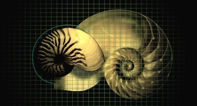 金字塔启示录剧照的剧照