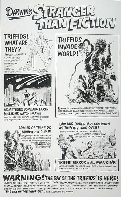 三尖树时代剧照的剧照