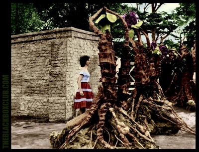 三尖树时代剧照的剧照