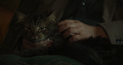 老人看护剧照的剧照