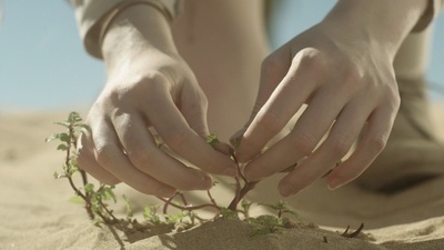 美景不可及剧照的剧照