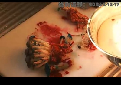 都市传说的诅咒 神奈川篇剧照的剧照