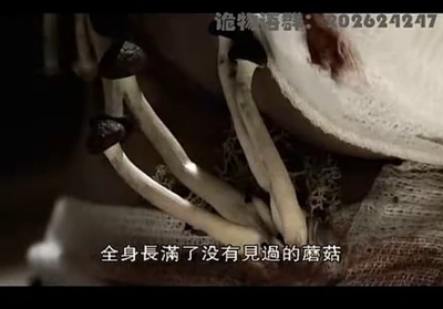 都市传说的诅咒 神奈川篇剧照的剧照