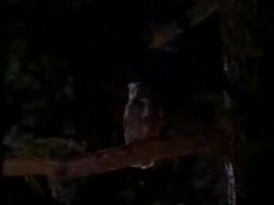 他来自未来剧照的剧照