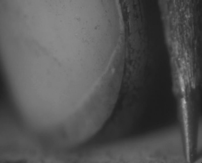 缺席剧照的剧照