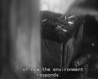 缺席剧照的剧照