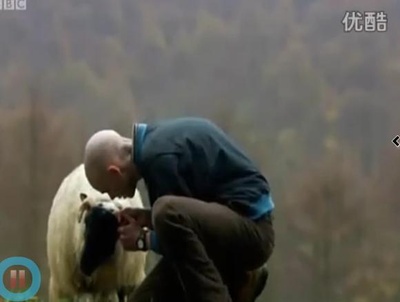 时而狗吠剧照的剧照