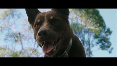 爱与怪物剧照的剧照