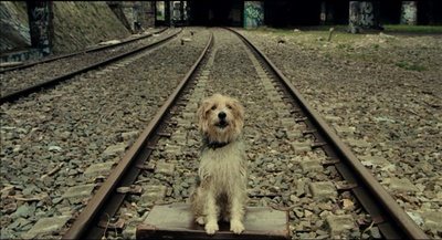 男人与狗剧照的剧照