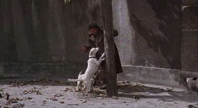 冷暖心声冷暖情剧照的剧照