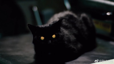 色香味谋杀案剧照的剧照