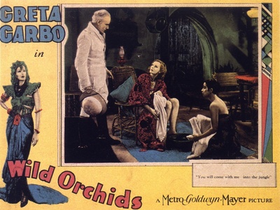 野兰花剧照的剧照