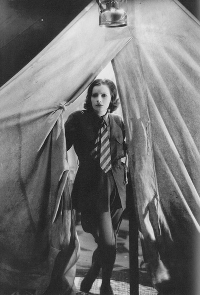 野兰花剧照的剧照