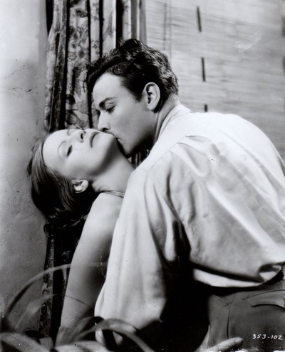 野兰花剧照的剧照