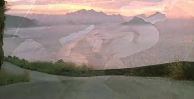 野兰花剧照的剧照