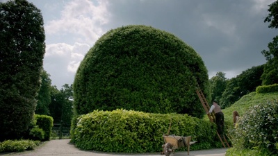 第十三个故事剧照的剧照